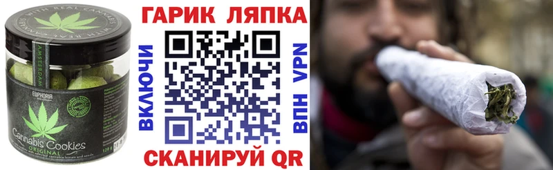 купить наркотики сайты  MEGA tor  Canna-Cookies конопля  Ленинск 