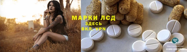 стафф Зерноград