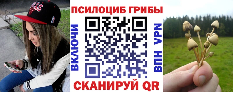 blacksprut вход Ленинск Псилоцибиновые грибы Magic Shrooms